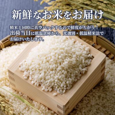 ふるさと納税 安芸高田市 米 令和7年産 こしひかり 真空パック 10kg 広島県安芸高田市産 [No5895-0337] |  | 02
