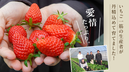 《 2027年 収穫分 》 完熟 とちおとめ 260g×4パック KEK 国産 いちご イチゴ 苺 くだもの 果物 フルーツ 冬 春 旬 [BC006sa]