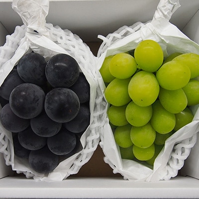 【2025年10月より発送】大粒ぶどう2種セット　シャインマスカットほか 2房 約1.2kg