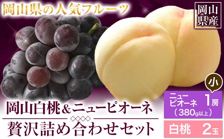 【先行予約】 岡山白桃 & ニューピオーネセット【配送不可地域あり】白桃 ロイヤル220g以上 ニューピオーネ 1房 （380g以上）《7月上旬-8月末頃に出荷予定(土日祝除く)》 岡山県 矢掛町 桃 白桃 もも 岡山白桃 ニューピオーネ ぶどう 詰め合わせ 果物---osy_chbf33_af7_25_18000_ss---