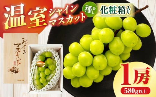 温室シャインマスカット　1房化粧箱入り(580g以上) | マスカット ハウス ぶどう ブドウ 葡萄 果物 フルーツ 人気 香川 香川県 三木町 種なし 皮ごと食べられる ジューシー 化粧箱 旬 おすすめ |_mk006-033