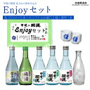 【ふるさと納税】 甲斐の開運 日本酒5種飲み比べEnjoy セット 各300ml オリジナルお猪口2個と徳利つき 井出醸造店 日本酒 FAK010