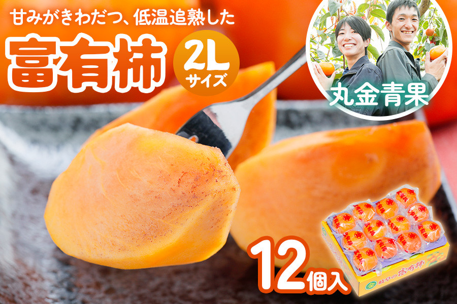 
                  [先行予約] 令和8年産 丸金青果 富有柿 2Lサイズ (12個入) 低温追熟【甘みがきわだつ 低温追熟した富有柿をお届け】12月下旬より順次発送  [mt1108]｜かき 富有柿 フルーツ カキ 果物 くだもの 産地直送 本巣市
                