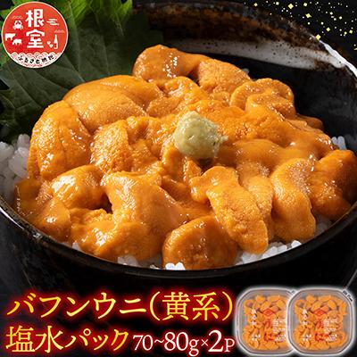 ふるさと納税 根室市 バフンウニ(黄系)塩水パック70〜80g×2P B-74001