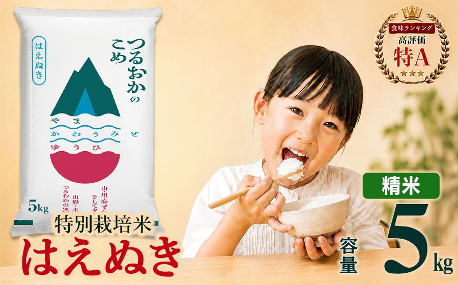 
                  【令和7年産】 特別栽培米 はえぬき 精米 5kg (5kg×1袋)　山形県 庄内産 　| 5キロ 米 お米 コメ 白米 食品 ご飯 ごはん 美味しい おいしい ブランド米 庄内米 エコ包装 おすすめ 人気 山形県 鶴岡市 東北 国産 お取り寄せ SDGs未来都市鶴岡 返礼品
                