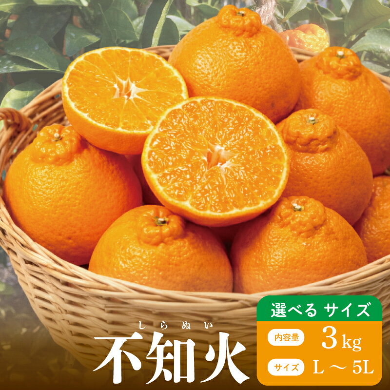 【ふるさと納税】 不知火 3kg 選べるサイズ L～5L 6玉～12玉 しらぬい 先行予約 みかん 蜜柑 果物 フルーツ 柑橘 オレンジ ゼリー ジュース アイス ケーキ デザート スイーツ ジャム 糖度 甘い ビタミン 美容 健康 送料無料 徳島県 阿波市 山中農園