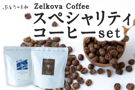Zelkova Coffee Blend&Singleスペシャルティコーヒーセット (豆のまま) 200g×2種 コーヒー 豆 うきは市