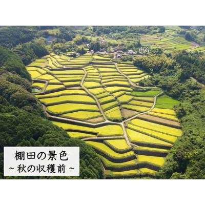 ふるさと納税 多久市 令和6年産『しょうちゃんの棚田米』　　【玄米10kg】栽培期間中農薬不使用 れんげ緑肥育ちの棚田米 |  | 03