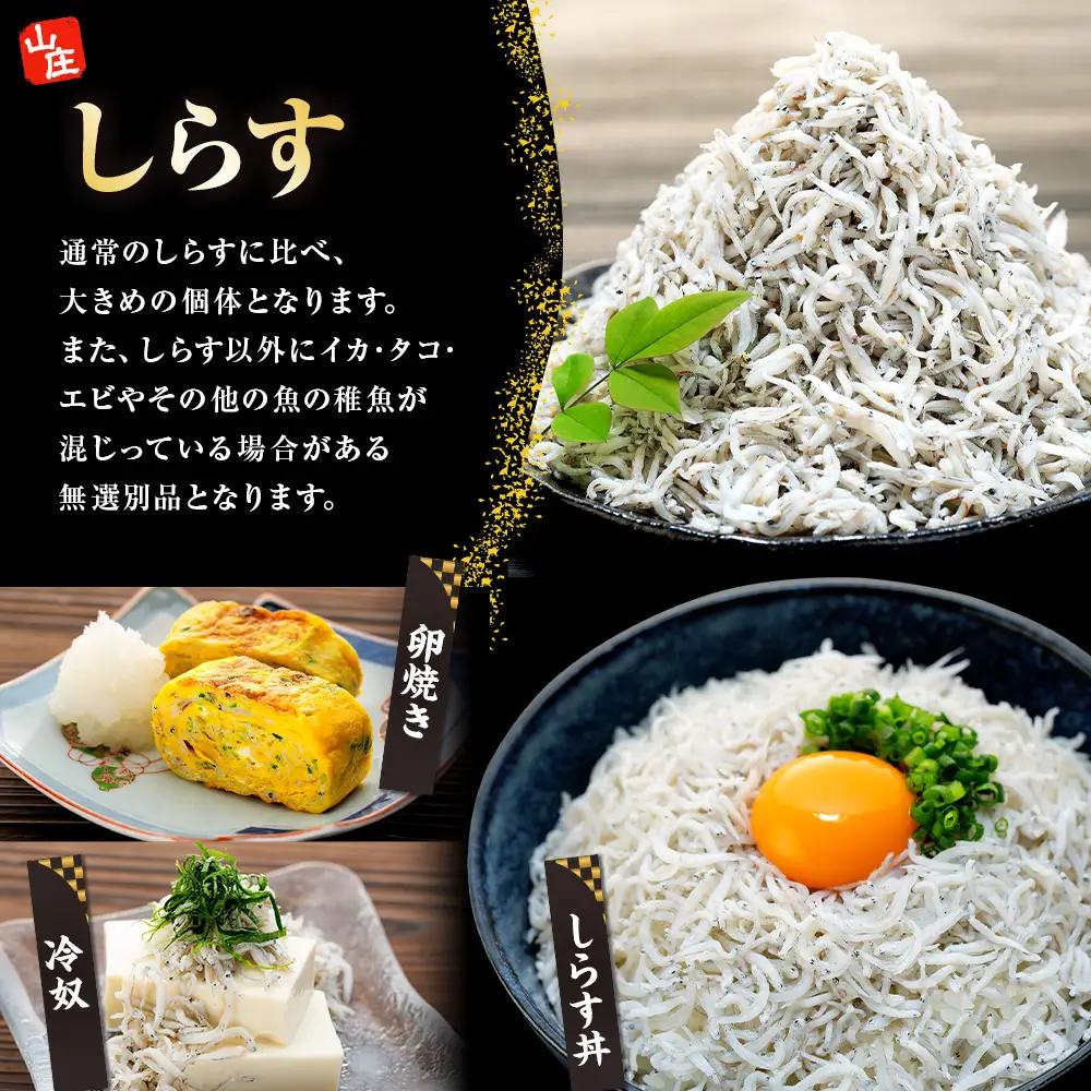 生しらす 200g 訳ありしらす干し 500g 食べ比べセット