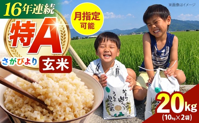
                  【先行予約】【発送月が選べる】令和8年産 さがびより 玄米 20kg ( 10kg×2袋 ) 【ひなたむらのお米】 [HAC005] 米 玄米 げんまい 佐賀 佐賀県産 特A評価 特A米 玄米
                