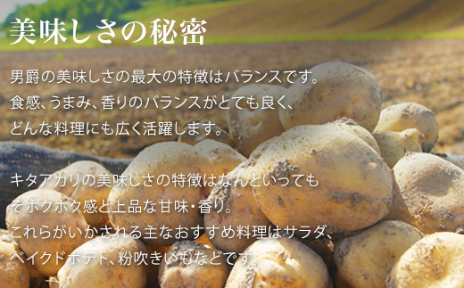 【令和７年産予約受付！】黒木農場　じゃがいも（男爵・北あかり）計10kg[010-209]