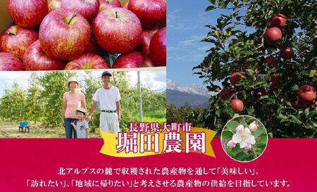 ＜26年発送 先行予約＞長野県産 りんご シナノピッコロ 訳あり 約2kg リンゴ 旬 フルーツ 訳アリ 林檎 果物 規格外 自家用 産地直送 農園 産直 お取り寄せ もぎたて 採れたて 送料無料 堀