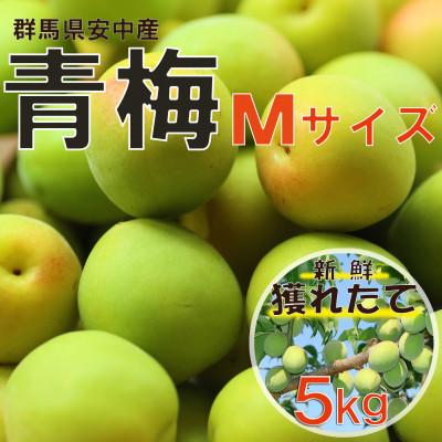 ふるさと納税 安中市 旬をお届け!青梅【Mサイズ(5kg)】