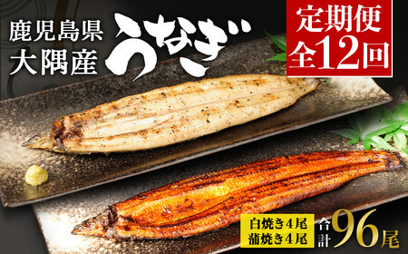 【定期便全12回】 鹿児島県 大隅産 千歳鰻 白焼き 4尾 ・ 蒲焼 4尾 （1尾110g～130g）|  白焼き