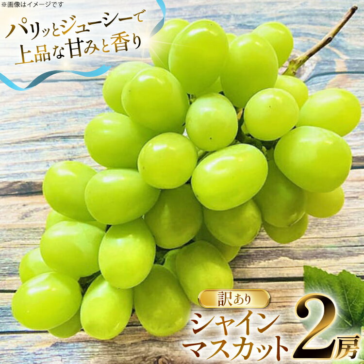 【ふるさと納税】 【期間限定発送】 シャインマスカット 訳あり 2房 1.1kg [もん前の里 山形県 高畠町 tk06ays960000] フルーツ 果物 くだもの ぶどう ブドウ 葡萄 1.1キロ 甘い