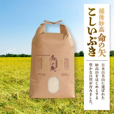 ふるさと納税 妙高市 【先行受付】令和8年産 越後妙高命の矢 こしいぶき 5.1kg |  | 01