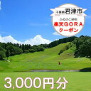 【ふるさと納税】千葉県君津市の対象ゴルフ場で使える楽天GORAクーポン 寄付額10,000円 (クーポン 3,000円)【チケット】