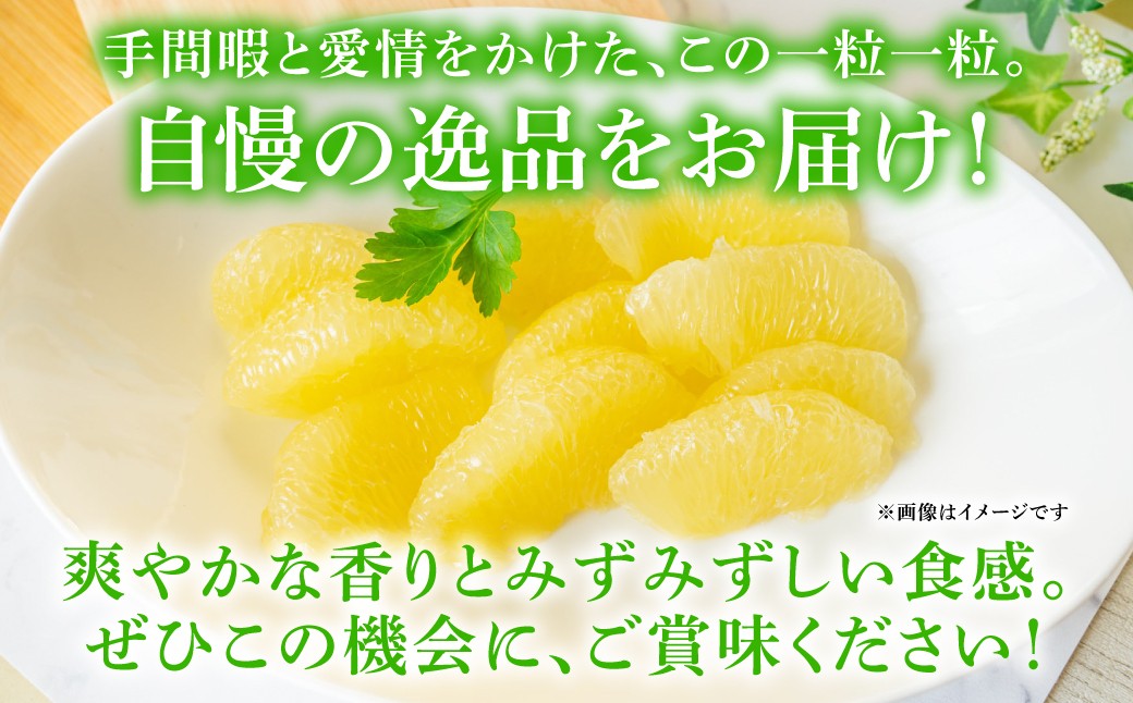 爽やかな香りとみずみすしい食感。ぜひこの機会に、ご賞味ください！