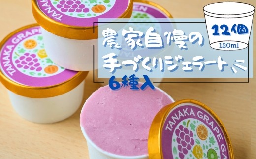 
                  フルーツのジェラート6種セット 各120ml 12個｜ 農家自慢の手づくりアイス ぶどう いちじく みかん ゆず キウイ 甘夏 詰め合わせ 農家直送 完熟 果実 フルーツ くだもの シャインマスカット 大阪 河内長野 田中ぶどう園
                
