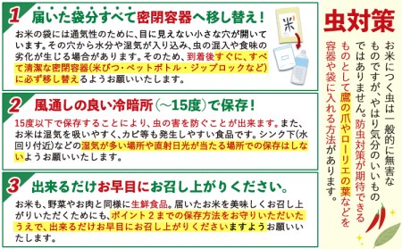 令和5年産 森のくまさん白米 10kg 《7-14営業日以内に出荷予定(土日祝除く)》 5kg×2袋 熊本県産 米 精米 森くま 御船町