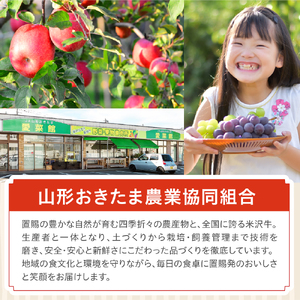 【先行予約】 令和8年産 りんご 品種お任せ 秀品 約2kg 5玉 ～ 8玉 中生種 涼香の季節 昂林 など 2026年10月上旬～下旬頃 お届け予定 山形県 米沢市