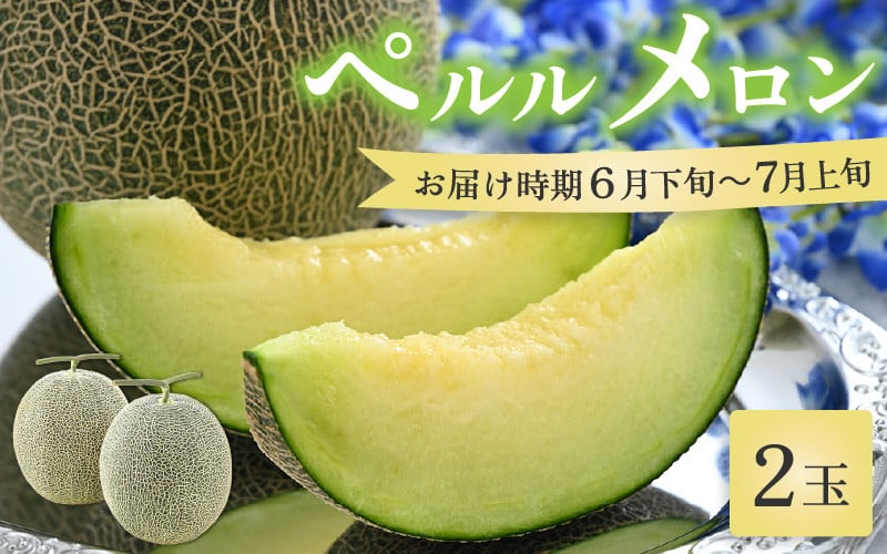 
            【先行予約】ペルルメロン 2玉（約2kg以上×2玉）青肉品種 高級メロン！ ／ マスクメロン 大玉 果物 フルーツ ギフト 農家直送 ※2025年6月下旬以降順次発送 [aw065-a007]
          