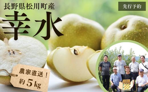 KW08-26A 【先行予約】梨 幸水 約5kg（9～14玉） 松川町産 贈答／2026年8月下旬頃～配送  // 長野県 南信州 松川町 和梨 梨 なし ナシ 産地直送 農家直送 農家支援 贈答 幸水 果物 フルーツ