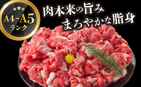 【A4～A5】長崎和牛切り落とし　1kg(500g×2p）【株式会社 MEAT PLUS】[DBS006]