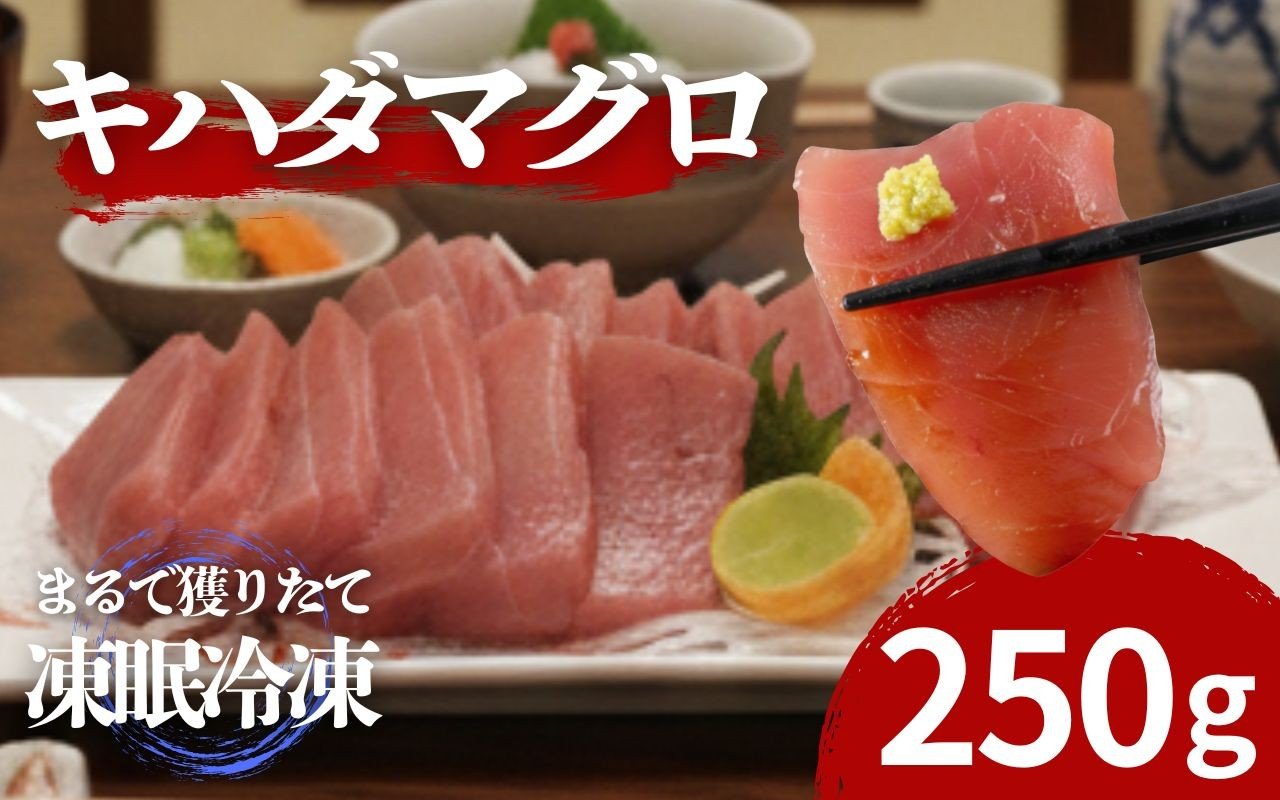 
                  天然 キハダマグロ 柵 250g 赤身 マグロ まぐろ 鮪 刺身用 さしみ 刺し身 柵 海鮮 魚介 魚貝 魚 海鮮丼 漬け丼 冷凍 小分け 手巻き寿司 寿司 数量限定 期間限定 訳あり 不揃い 高知県 室戸市
                