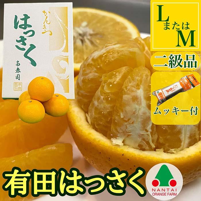 【ふるさと納税】手詰め 有田 はっさく L × 8玉 または M × 10玉 サイズ ちょっと 傷あり ムッキー 同梱 南泰園 みかん | フルーツ 果物 くだもの 食品 人気 おすすめ 送料無料