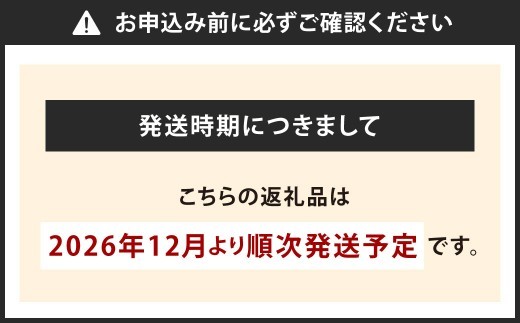 博多あまおう DX上級品 約500g（約250g×2パック入り）