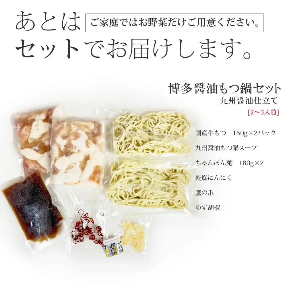 博多もつ鍋セット(九州醤油仕立て) 2～3人前 国産牛もつ300g 4A16