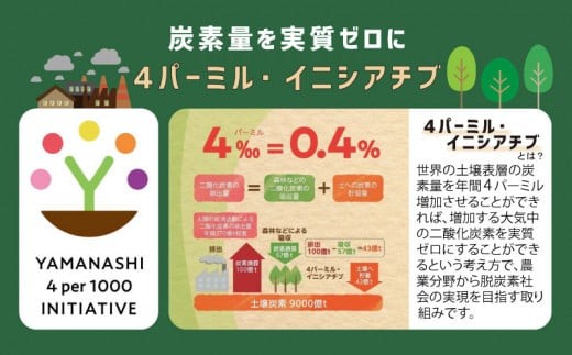 【2027年 先行予約】 山梨県都留市産　朝採れ桃 約1.5kg 以上(５～７玉）〈桃 もも 先行予約 桃 先行予約 桃 先行予約 桃 もも〉