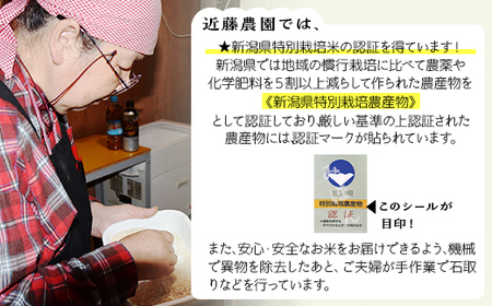 【精米】新潟県産コシヒカリ5kg（特別栽培米）近藤農園