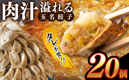 タレ不要！！ 肉汁 溢れる『 玉名餃子 』 20個 | 餃子 ぎょうざ お手軽 小分け 冷凍 冷凍食品 おかず 豚肉