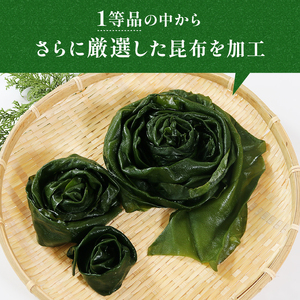 三陸産 芯抜き塩蔵わかめ 250g×2袋 湯通し塩蔵こんぶ 500g×2袋　　三陸こんぶ 昆布 コンブ わかめ ワカメ 塩蔵