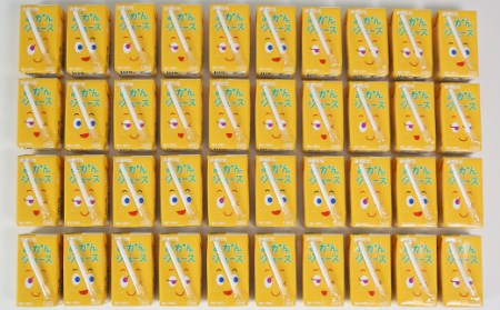 果汁100％ 紙パック みかんジュース 125ml×40本＜131-010_5＞