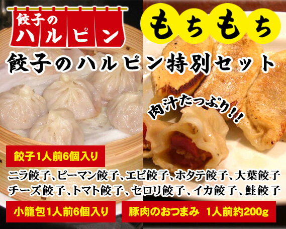 【ふるさと納税】【餃子のハルピン特別セット】餃子10種、小籠包、豚肉のおつまみ　12人前 ／ ぎょうざ ギョーザ 中華 冷凍 詰め合わせ 送料無料 東京都 [No.102]