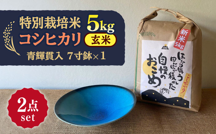 
            【令和6年産】 玄米 コシヒカリ 特別栽培米 （5kg）+ 【美濃焼】 青輝貫入 7寸鉢 多治見市 / 山松加藤松治郎商店 [TEU052]
          