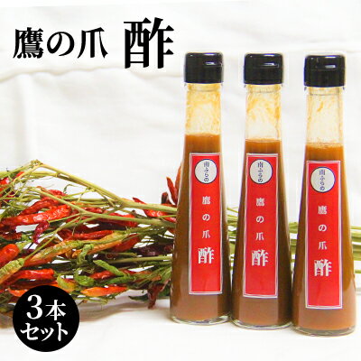 【ふるさと納税】鷹の爪の酢 3本セット 北海道 南富良野町 鷹の爪 調味料 酢 セット 詰合せ 辛 ドレッシング ソース たれ 鷹の爪酢 お酢