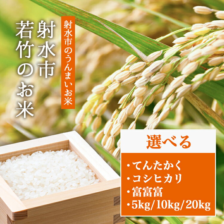 【ふるさと納税】＼選べる品種・内容量／【射水市】【射水の美味しいお米】若竹のお米 R7年度産 てんたかく コシヒカリ 富富富 5kg 10kg 20kg【精米】 ※離島への配送不可 ※2025年9月上旬～10月下旬頃に順次発送予定