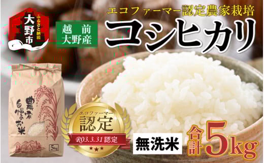 【先行予約】【令和6年産 新米】越前大野産 エコファーマー認定農家栽培 こしひかり 5kg（無洗米）