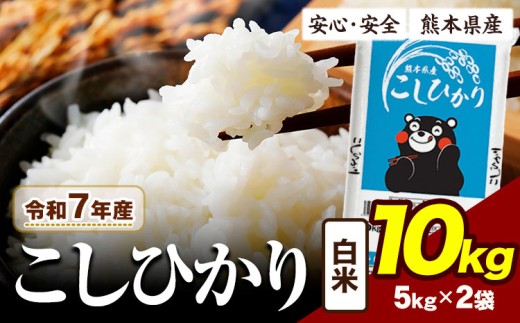 令和7年産  こしひかり 10kg 《7-14日以内に出荷予定(土日祝除く)》熊本県産 ふるさと納税  白米 精米 ひの 米 こめ ふるさとのうぜい コシヒカリ コメ お米 おこめ
