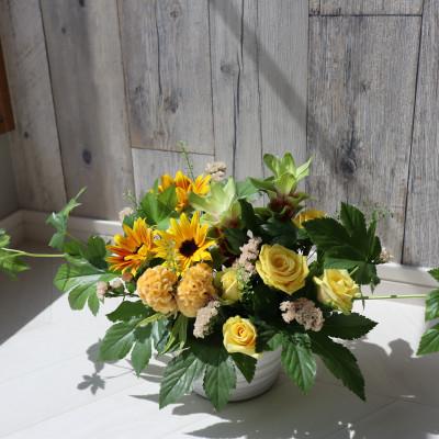 ふるさと納税 筑西市 【毎月定期便】季節のお花のアレンジメントMサイズ〜届いてそのまま飾れるフラワーアレンジ全6回 |  | 03