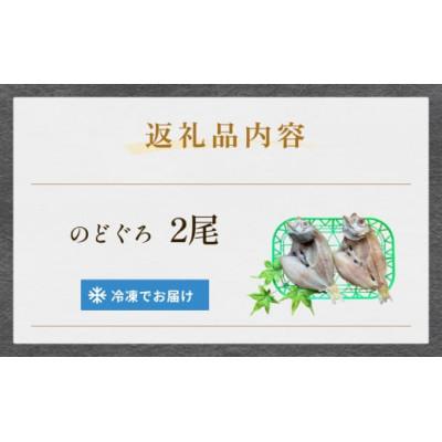 ふるさと納税 氷見市 脂がのった自社加工 のどぐろ開き (冷凍) | 添加物不使用 |  | 02