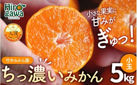 ちっ濃い 有田みかん 5kg （小玉 2S～3S） 12000円 ※11月上旬～1月中旬に順次発送予定 / みかん ちっちゃい 早生 柑橘 果物 フルーツ くだもの 果実  【tkn005-s-5A】