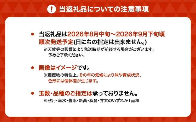先行予約 訳あり 梨 なし 濃あま梨 約4kg 品種おまかせ 2026年8月中旬から9月下旬発送予定
