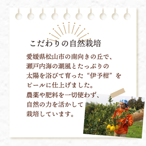 【自然栽培】潮風たっぷり!自然栽培 いよかん 冷凍 ピール 皮 ｜ いよかん お菓子づくり マーマレード お酒 伊予柑 愛媛県産 みかん 自然栽培  柑橘 ミカン ﾐｶﾝ 愛媛県産 家庭用 えひめのみ
