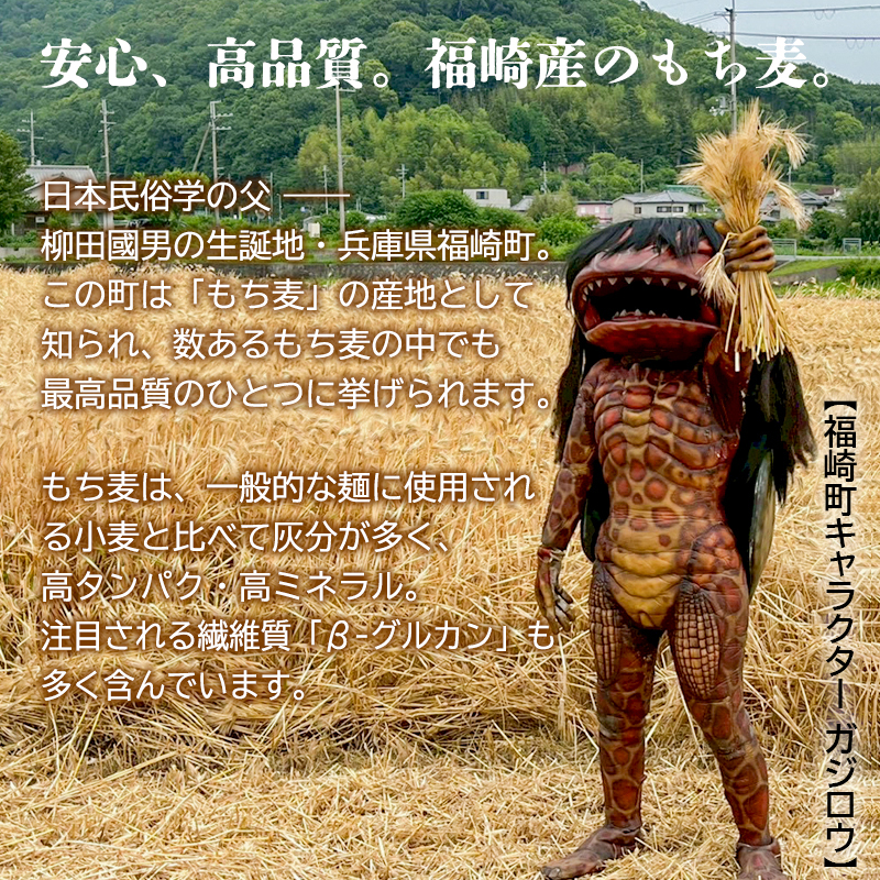 もち麦カレー 6箱入 福崎町産もち麦使用 レトルト カレー もち麦 お手軽 非常食 保存食