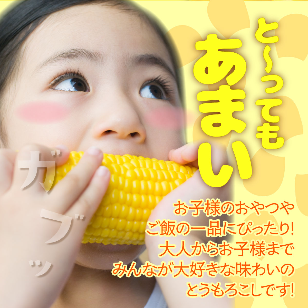 やまけんや とうもろこし 恵味ゴールド 6本 スイートコーン コーン 甘い サラダ スープ 生でも美味しい 産地直送 BBQ とうきび 国産 人気 バーベキュー 焼きとうもろこし 取り寄せ 糖度 北海